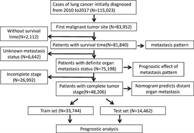 Prediction of distant organ metastasis and overall survival of lung cancer patients: a SEER population−based cohort study